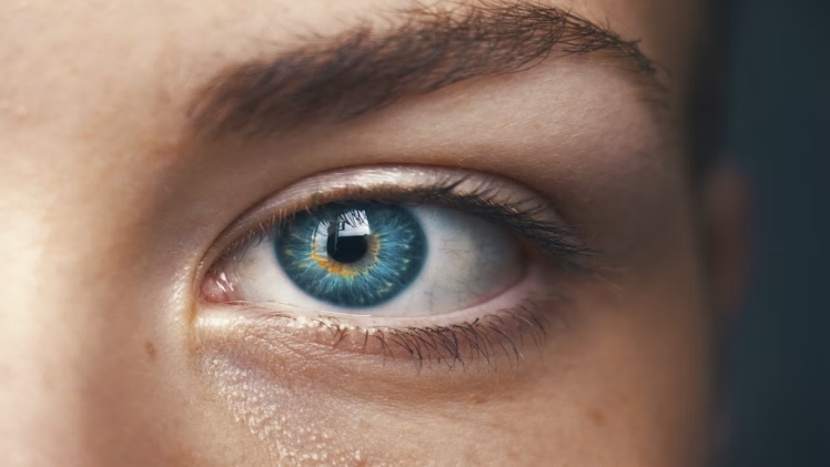 Why Our Eyes are Under More Strain Than Ever Before