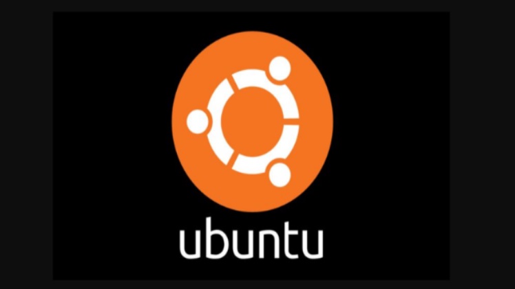 Transferring a Docker Volume to Another Host and Installing PNPM on Ubuntu 22.04