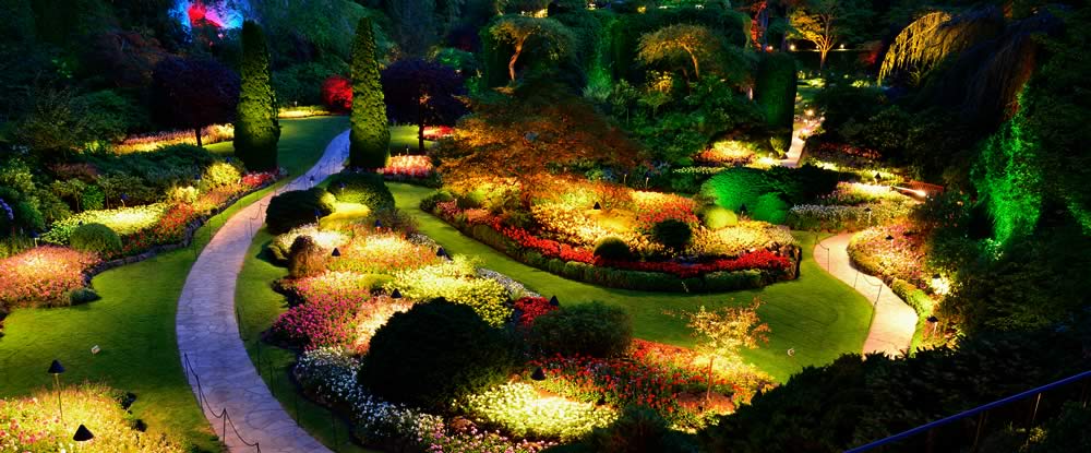 The Purpose of Yard Lights: More Than Illumination