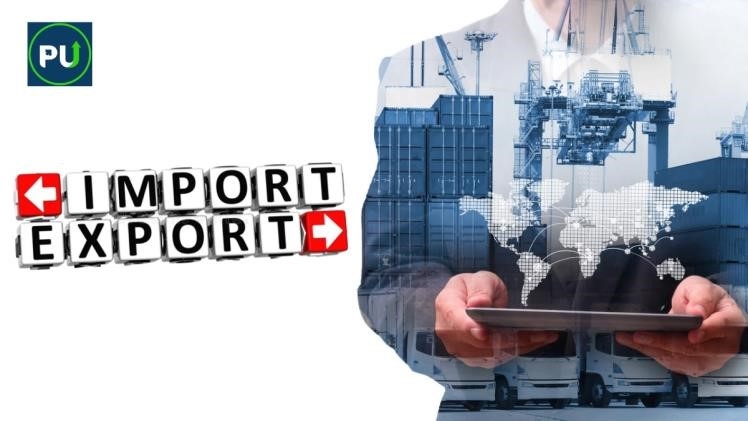 Streamlining International Trade: The Role of IEC and Essential Registrations