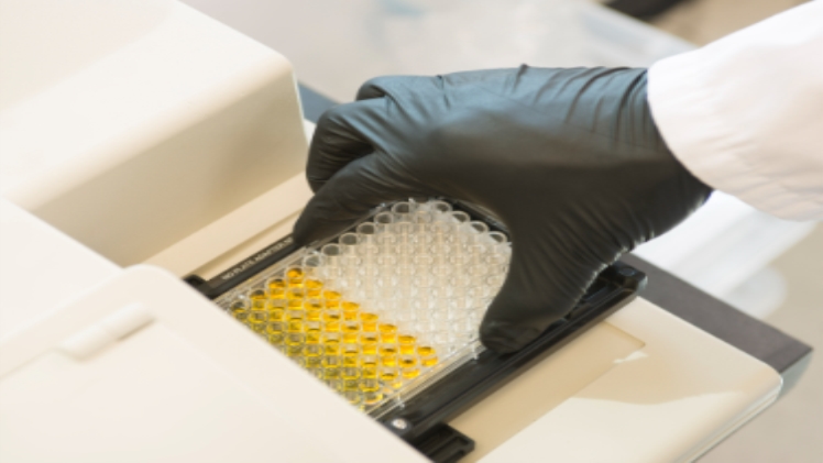 The Benefits of Large Molecule Bioanalysis in New Drug Development